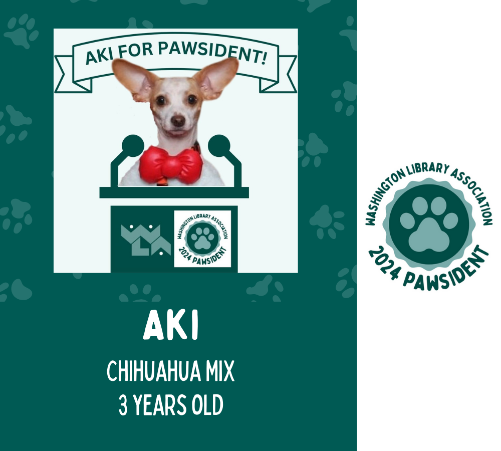 Aki the Chihuahua mix