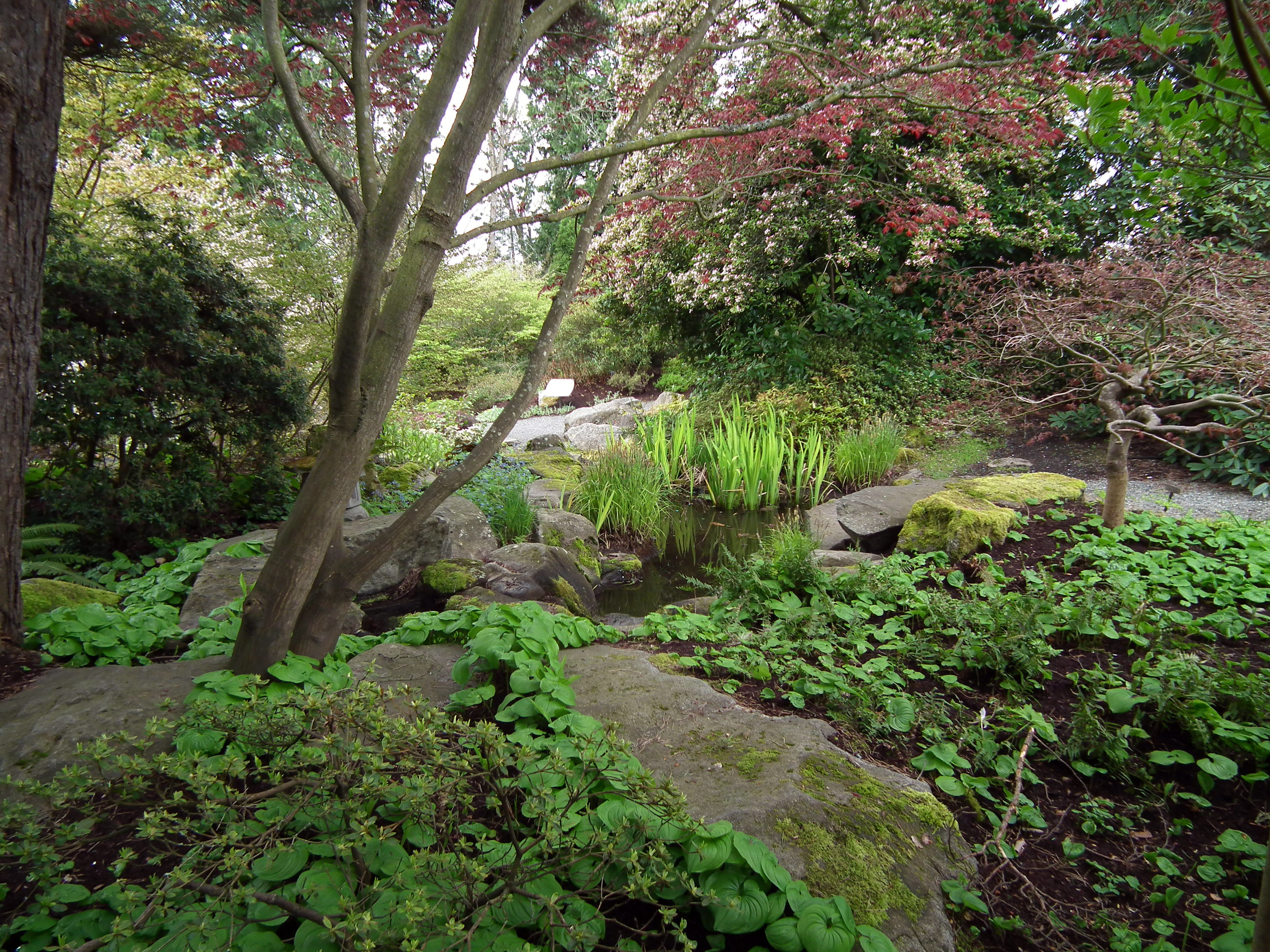 Bellevue Botanical Gardens | BlueCanoe