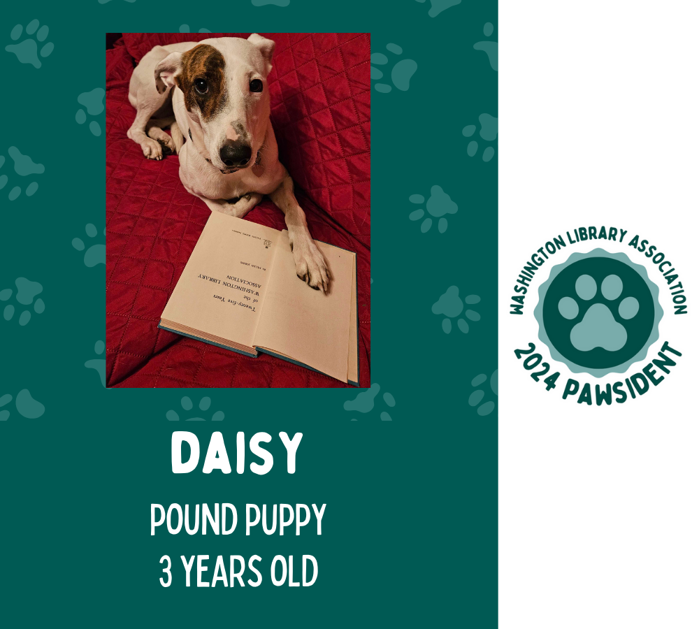 Daisy the pound puppy