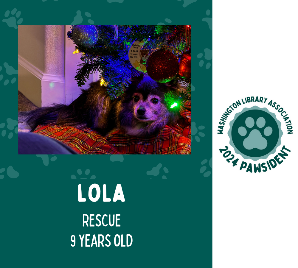 Lola the rescue dog