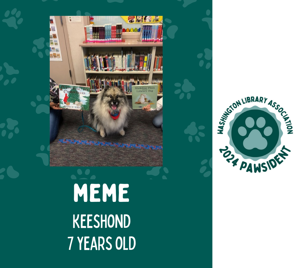 Meme the Keeshond