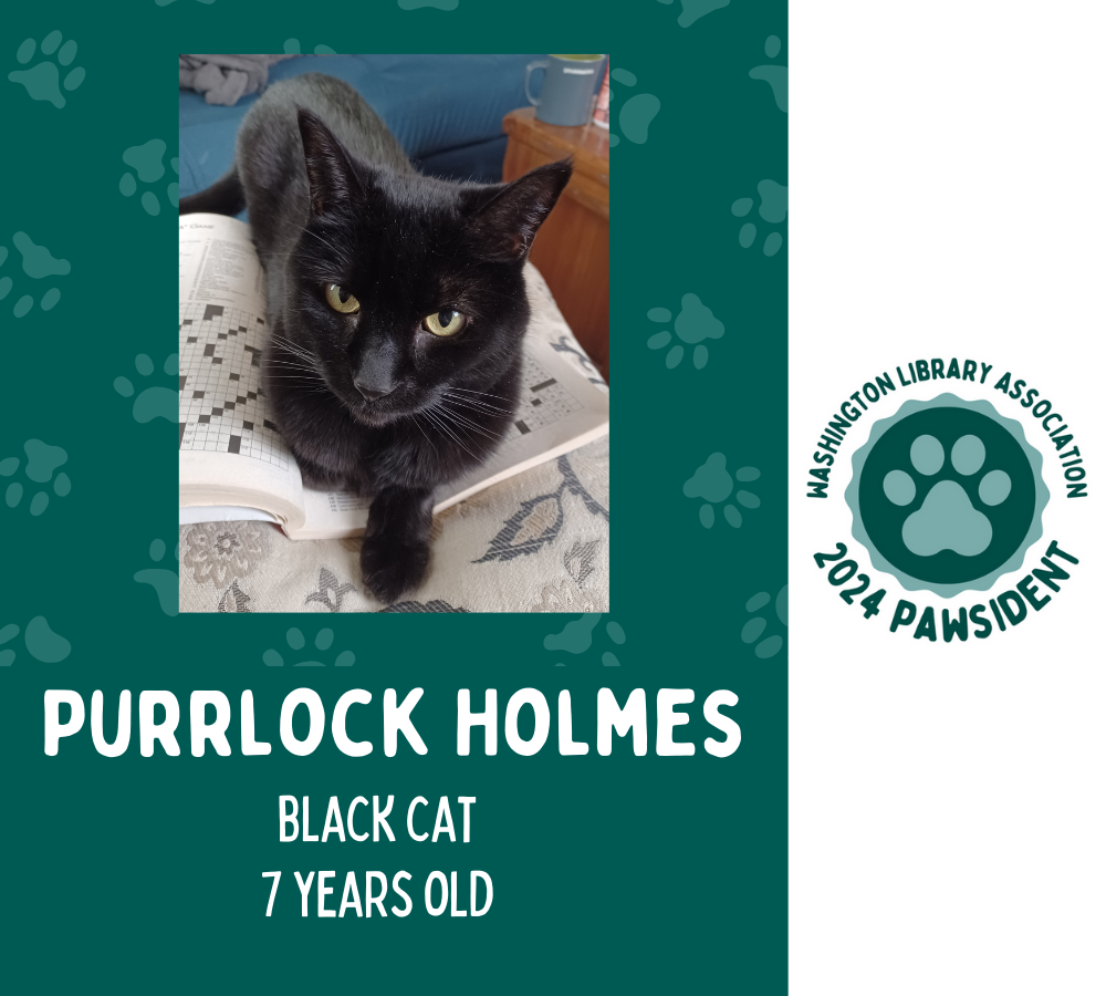 Purrlock Holmes the black cat